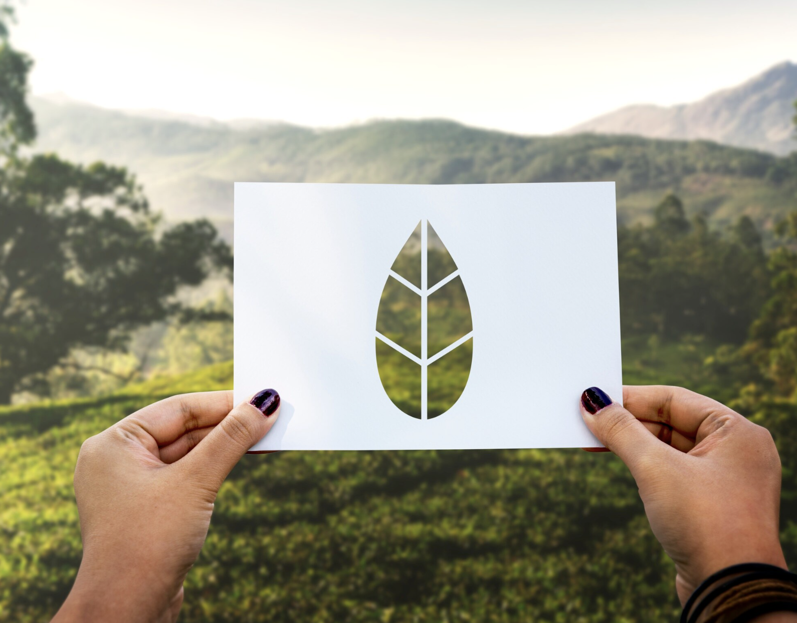 Licenciamento Ambiental: O Que É, Como Funciona e Por Que Sua Empresa Precisa Estar Regularizada