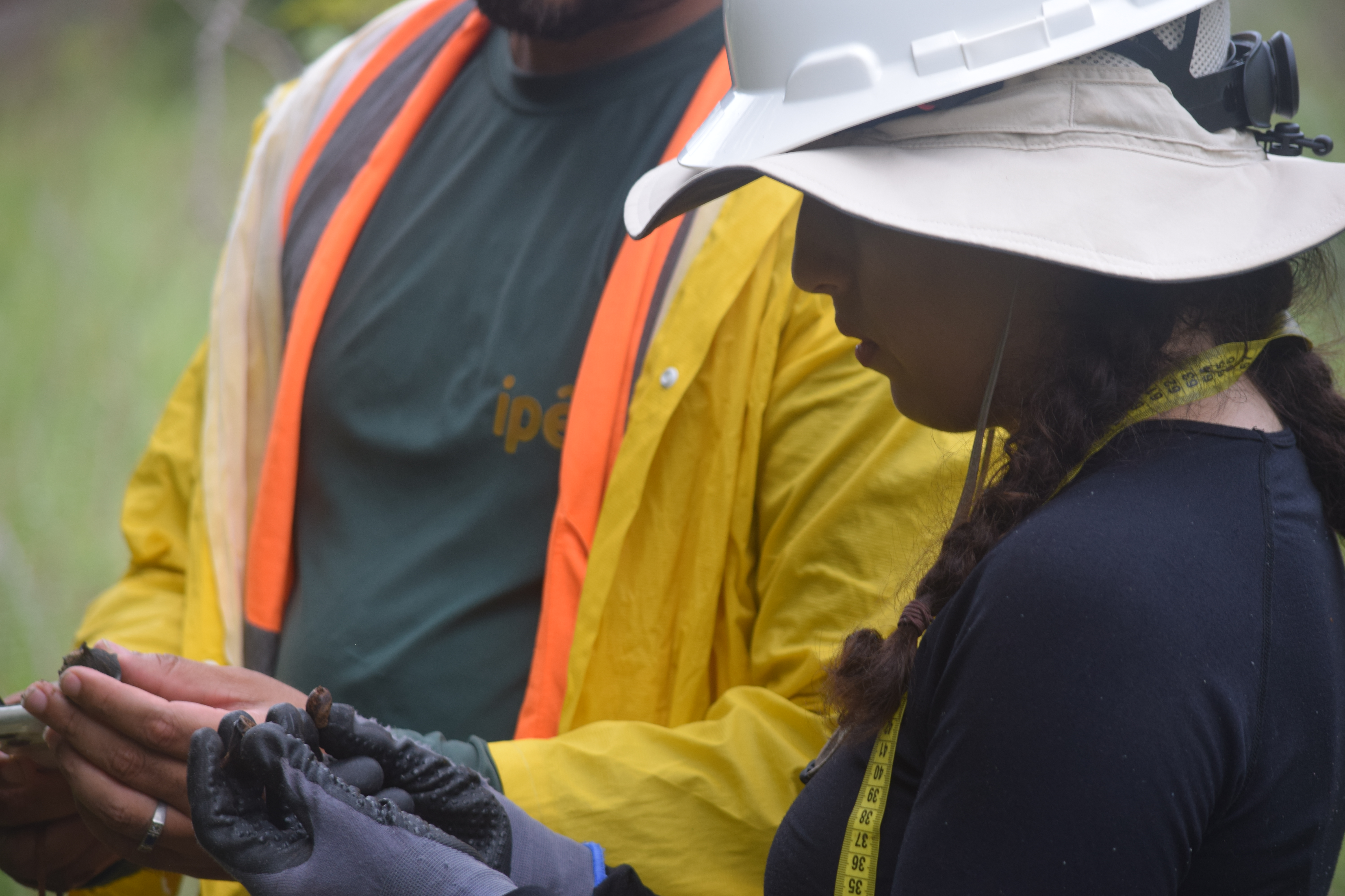 Plano de Gerenciamento de Resíduos Sólidos (PGRS): Como Estruturar e Implementar na Sua Empresa