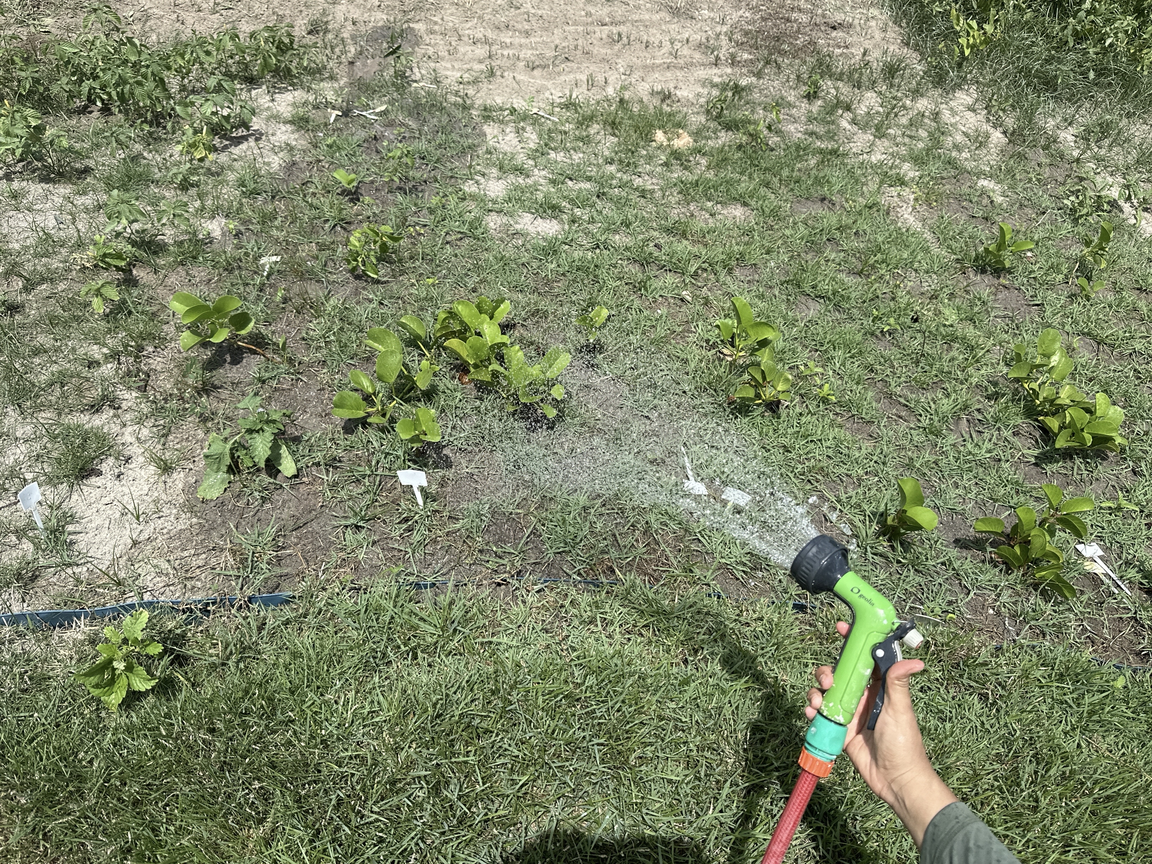 Outorga de Recursos Hídricos: O Guia Completo para Regularizar seu Empreendimento