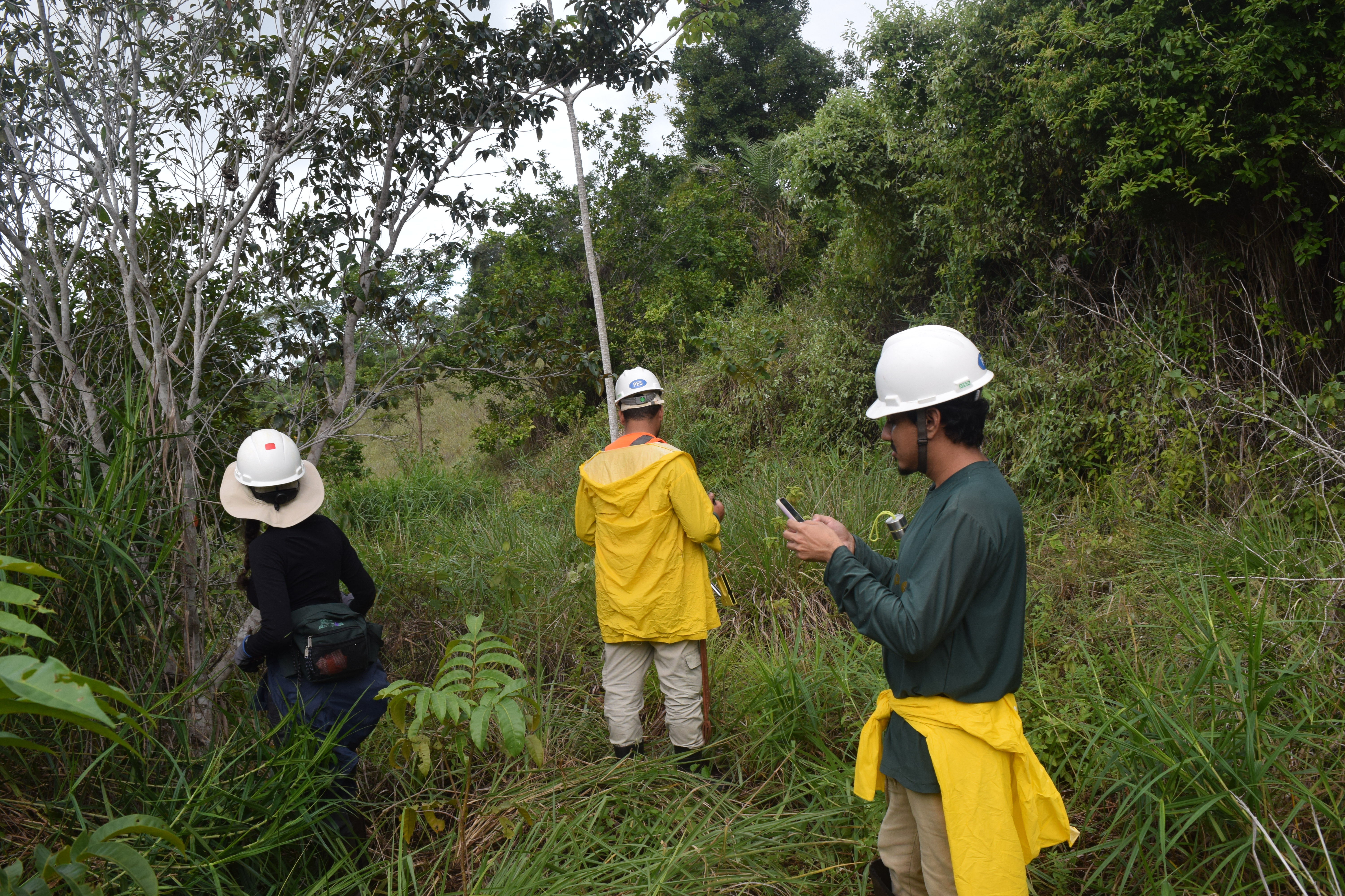 Estudos de Impacto Ambiental: O Guia Definitivo sobre Viabilidade, Legislação e Estratégia Ambiental