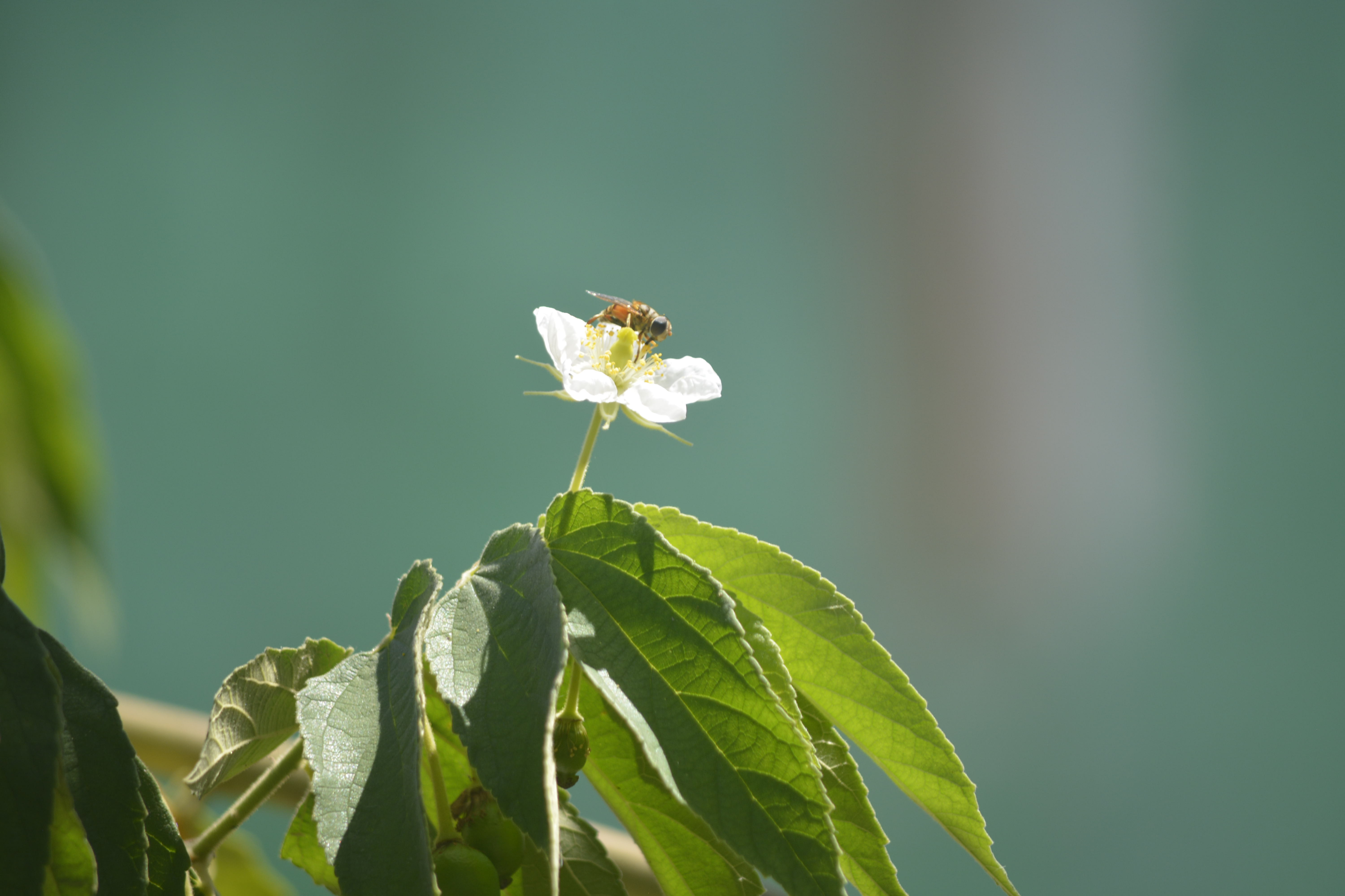 O que significa ser uma empresa sustentável de verdade?