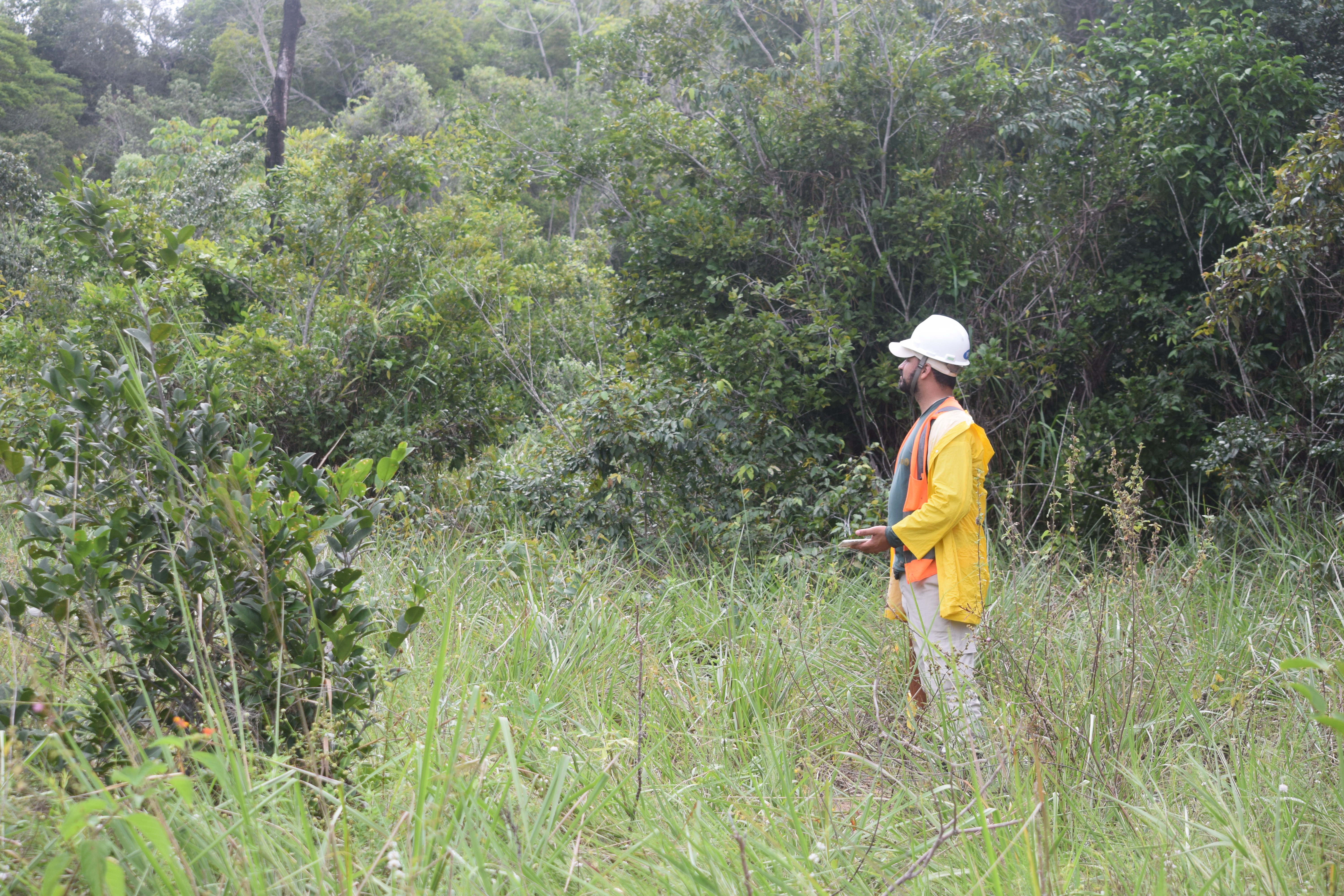 Preciso de licença ambiental para abrir meu negócio? Saiba já