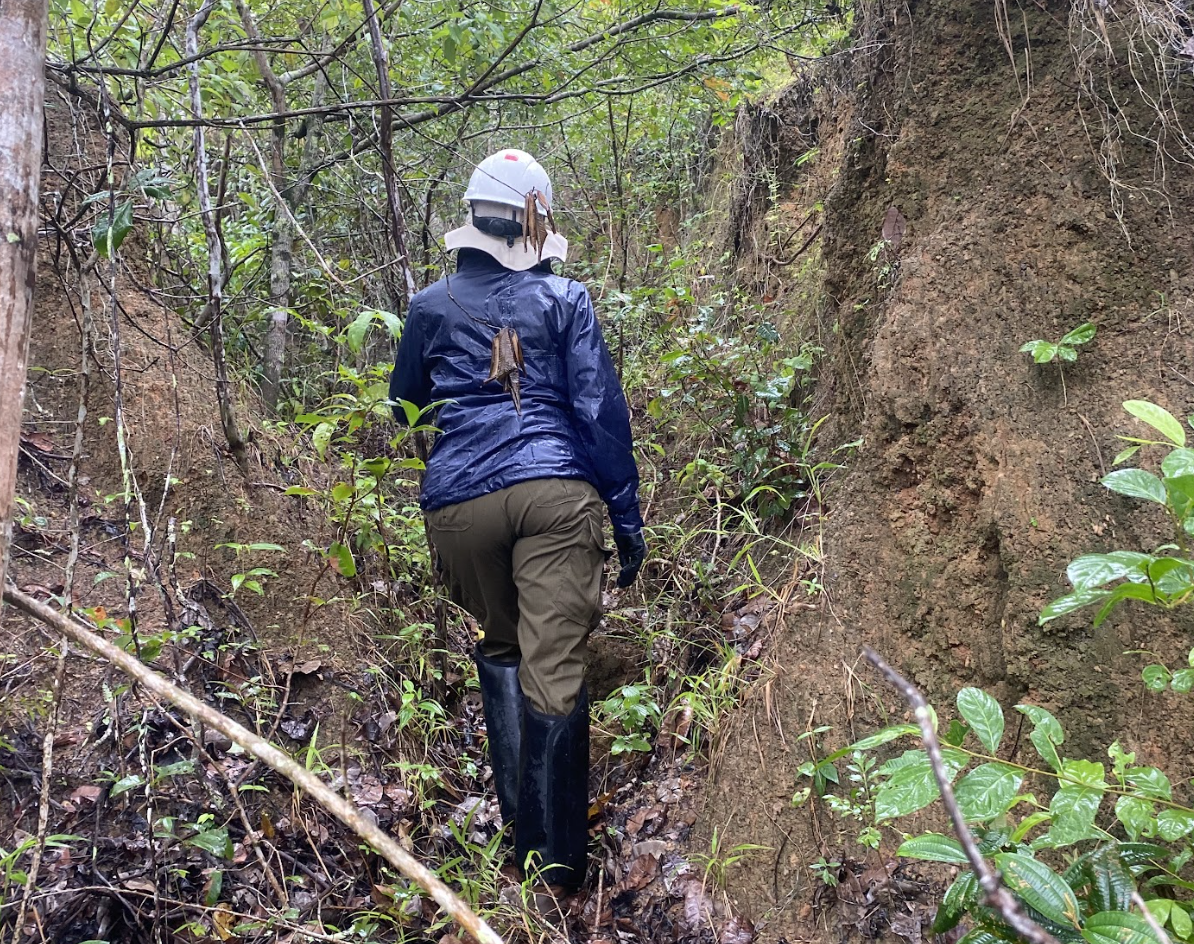 Desvendando os relatórios ambientais: Guia essencial para projetos