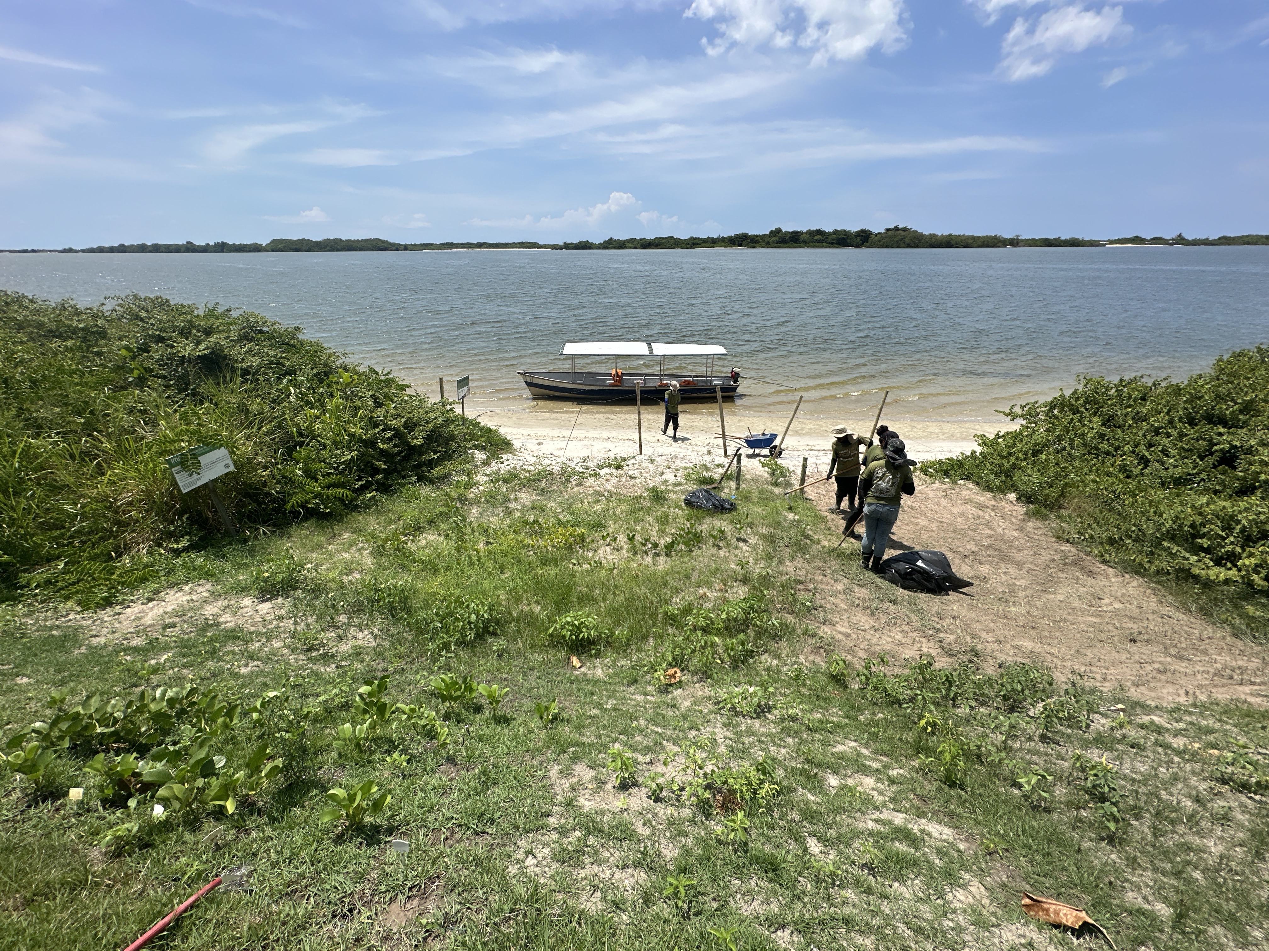 Recuperação de Áreas Degradadas