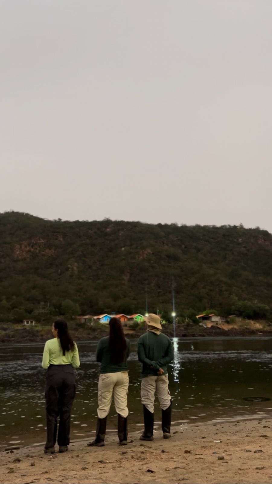 Licenciamento Ambiental